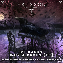 Why a Raven - RJ Banks ( Cosmic Kingsnake Remix )