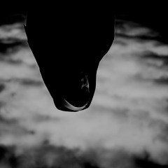 Black Veil #78