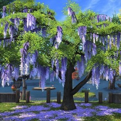 Trappin Indifference: Chill Out Edition