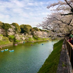 Chidori-gahuchi