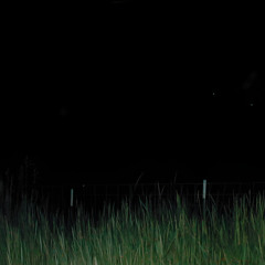 So this is my life..