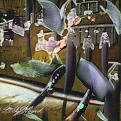 The Sour Daylight Pours In Like A Venomous Milk