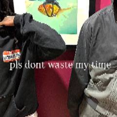pls dont waste my time (p.snakebaby)