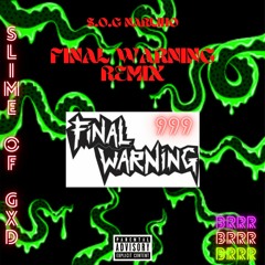 Final Warning (remix)