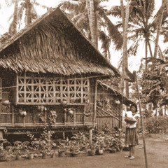 pour la maison