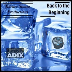 Back To The Beginning (Just Wisdom Meets Tone Adix)