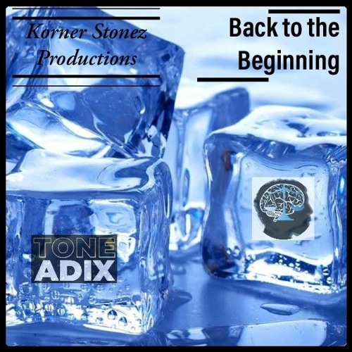 Back To The Beginning (Just Wisdom Meets Tone Adix)