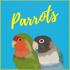 Parrots