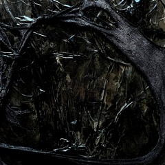Nonhuman