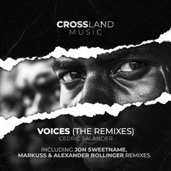 Cedric Salander - Voices (Jon Sweetname Remix)