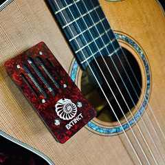 BoRbon Stereo Pair - Guitar - Birds Flew Over