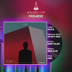 ML Premiere: Amir Telem - Fool (Who Else Remix) [Kutlo]
