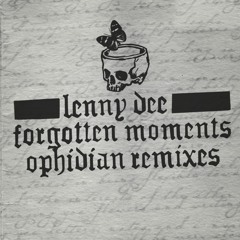 Forgotten Moments (Ophidian Remix)