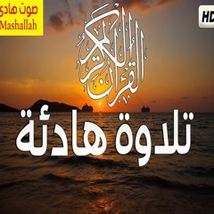 راحة النفس وطمأنينة القلب عند سماع القران صوت هادئ آيات من سورة آل عمران ❤️💚 سعيد القاضي