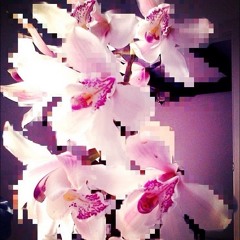 wytb?? w ssiknis (us)