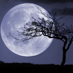 Lunar Escape