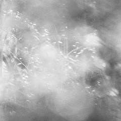 Wave Form w/ Aurélien Arbet & Pierre Rousseau 161124
