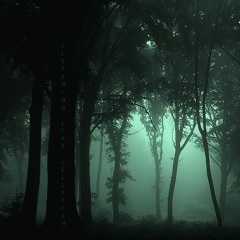 2. Florian Meffert - Insulting An Angel