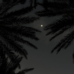 يا سراجي الوضاح في كل مسراي 💙.