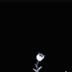 Yui [Heart of Solxi OST]