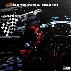 caikozart - ratz in da grass [prod.1koraa]
