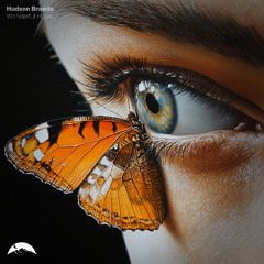 Hudson Brando - Wonderful Hope