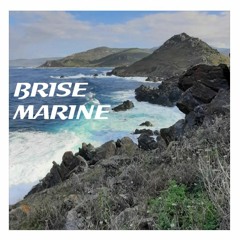 Brise Marine (Origine)