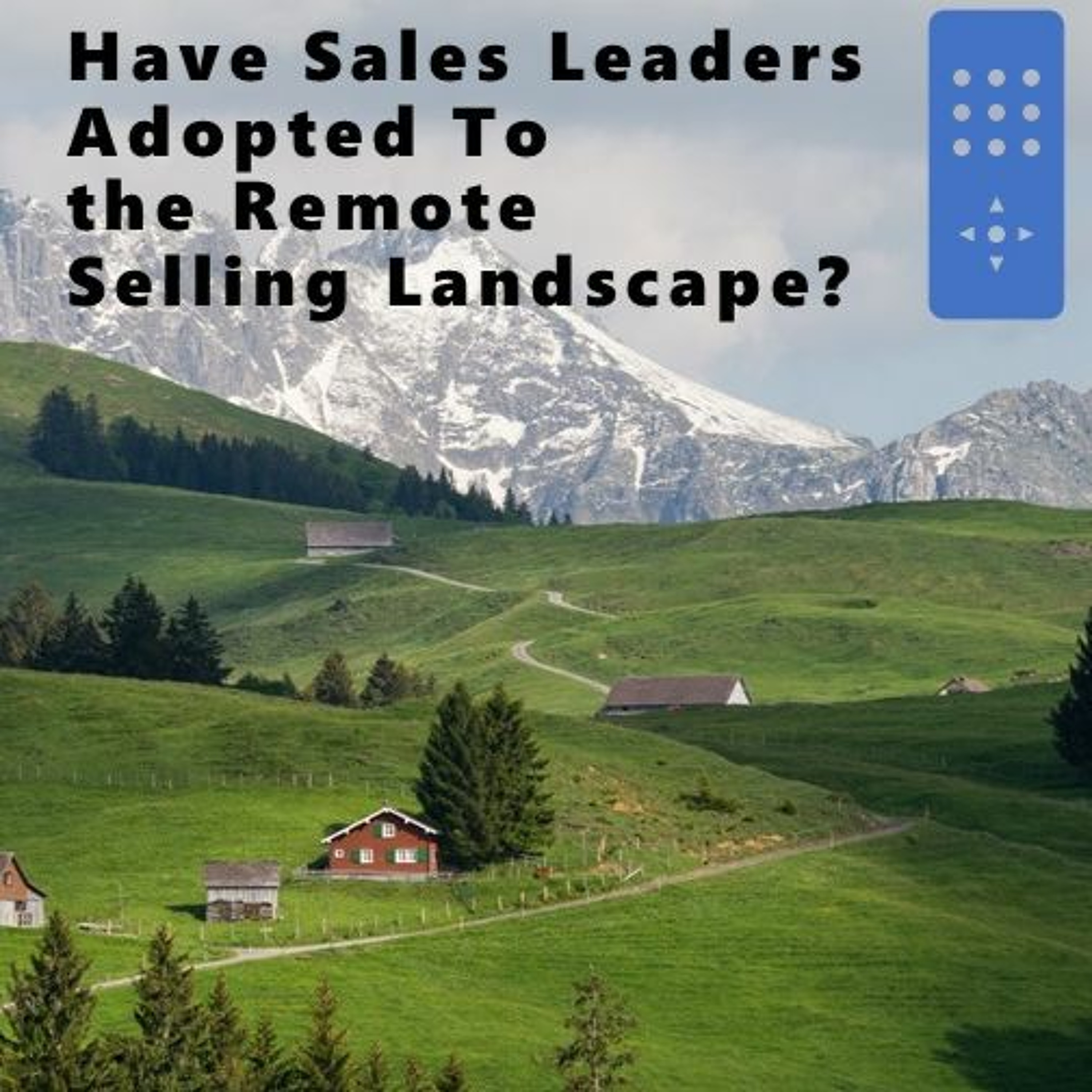 Roundtable Discussion - Have Sales Leaders Adopted to The Remote Selling Landscape? episode artwork