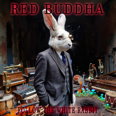 Follow the White Rabbit