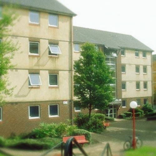 (Jungle -> JungleTek)