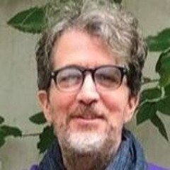 El lenguaje de la violencia