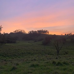 barulhos de uma cidade pequena