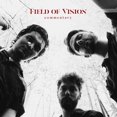 Field of Vision - Commentary