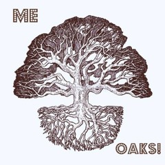 Mood Exhibit - Oaks! [new album out on Bandcamp]