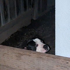 Runaway Train (Version Two)