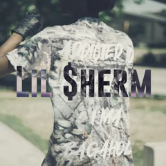 Lil $herm - Blood In The Street