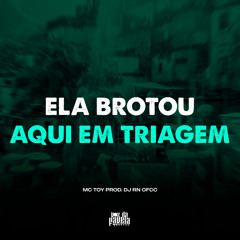 Ela Brotou Aqui em Triagem