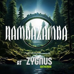 ZYGNUS GATHERING / 31.05.24