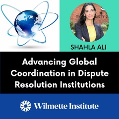 171 Advancing Global Coordination In Dispute Resolution Institutions