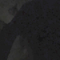 idwla