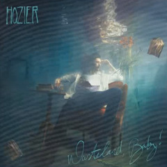 Hozier - But The Wages