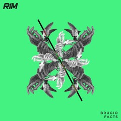 Brugio - Facts (Original Mix)