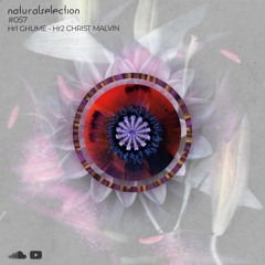 Episodio 57 - Natural Selection With Christ Malvin