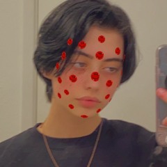 brick wall in paris v.2