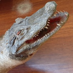Stuffed Crocodile #1