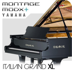 Italian Grand XL Plays Alec Benjamin - LET ME DOWN SLOWLY