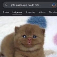 de ahora para adelante, no te creo (Prod. c memo)