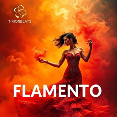 Flamento - Disco funk (short version) by Tirionbeats