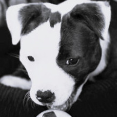 She