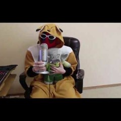 liltrapdog- Rap God (Remix)